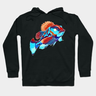 Colorful Fish Hoodie